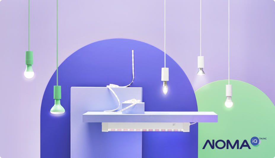 A selection of NOMA iQ™ smart strip lights and LED bulbs.