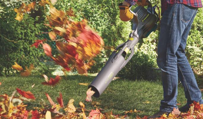Leaf blower with fall leaves.