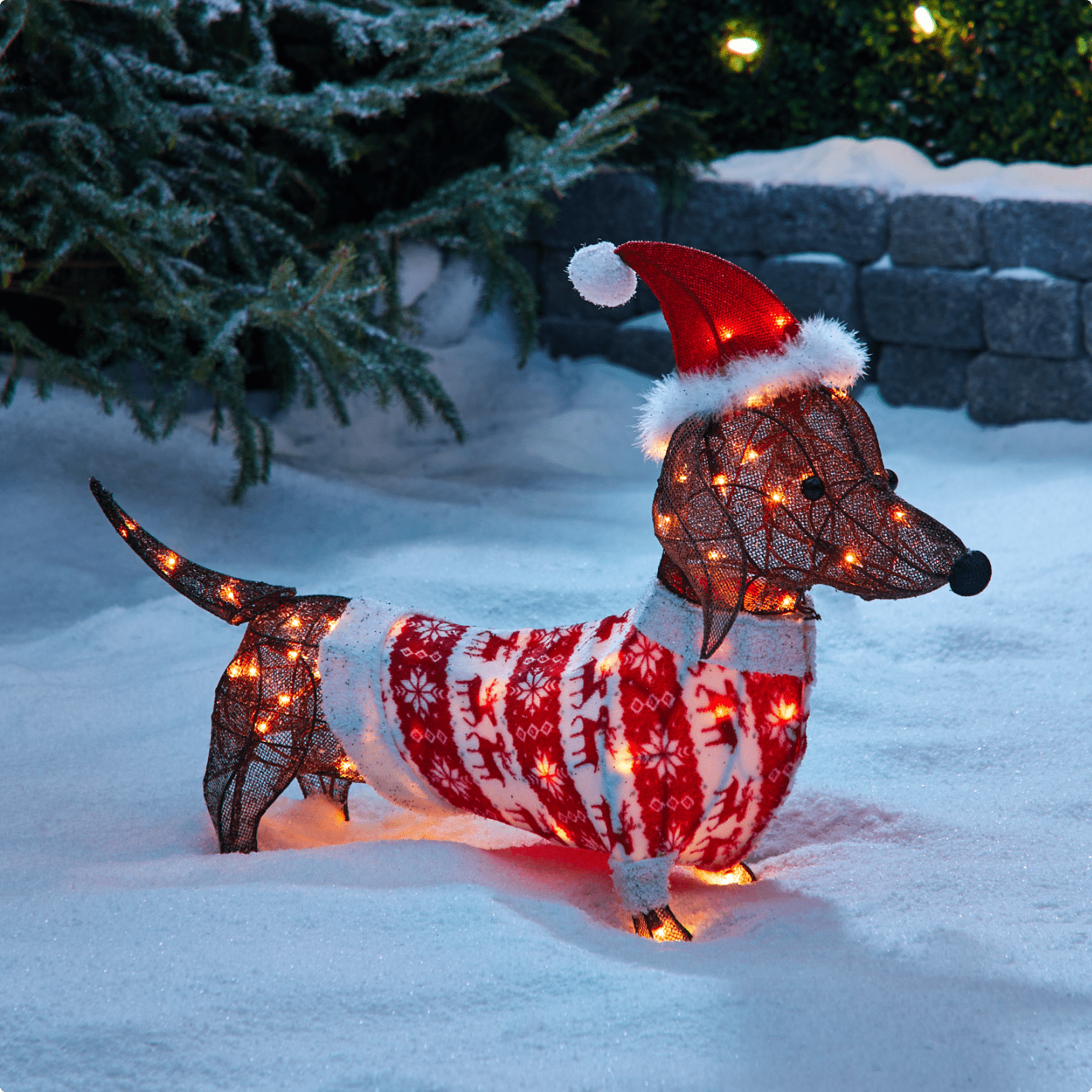 CANVAS LED Daschund Dog