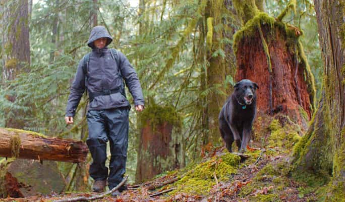 Person walking through the woods with a dog  
