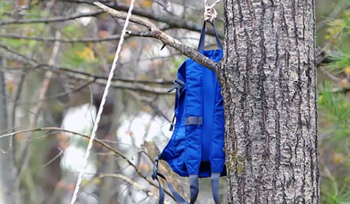 Backpack hanging in tree  
