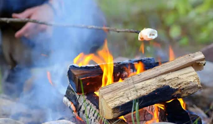 Une personne faisant rôtir un marshmallow sur un feu de camp  