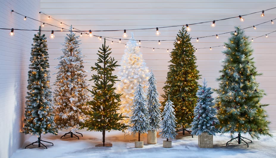 Assortment of Christmas trees in various sizes and shapes