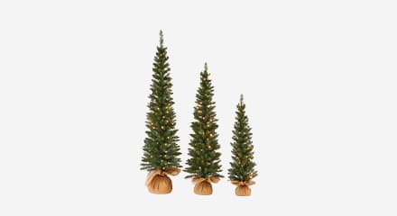 Trois arbres de Noël en pot