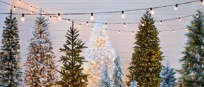 Quatre styles de sapins de Noël devant un mur en bois