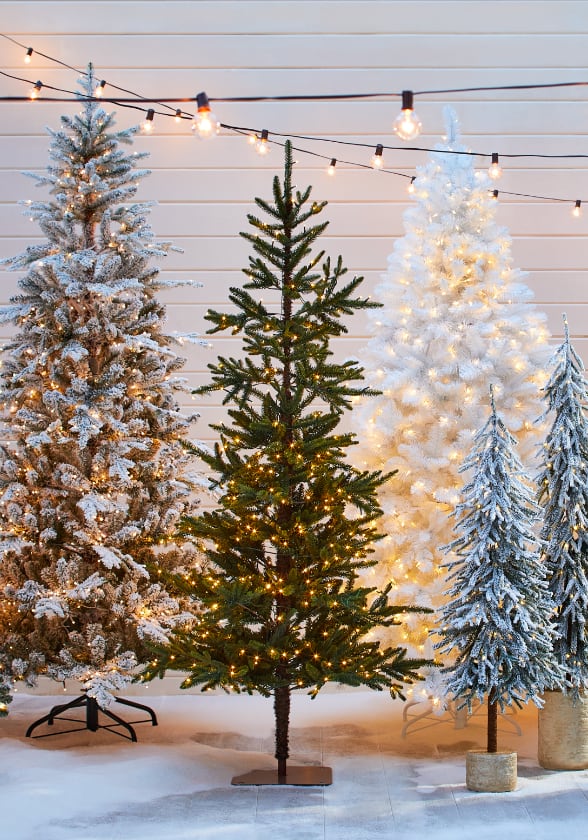 Quatre styles de sapins de Noël devant un mur en bois