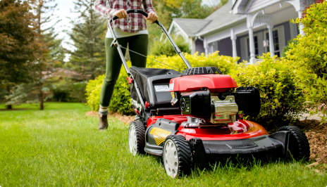 How to choose a lawn mower