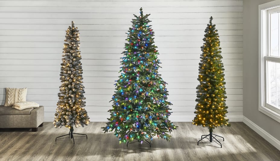 Trois arbres de Noël illuminés dans un salon