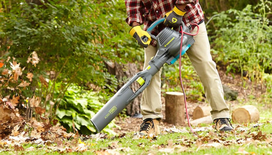How to choose a leaf blower 