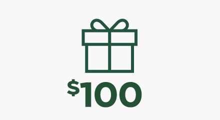 Gifts under $100 