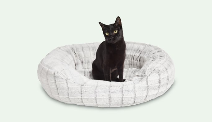 Cat Beds 