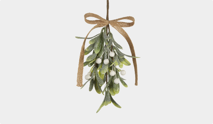 CANVAS Mistletoe Ornament