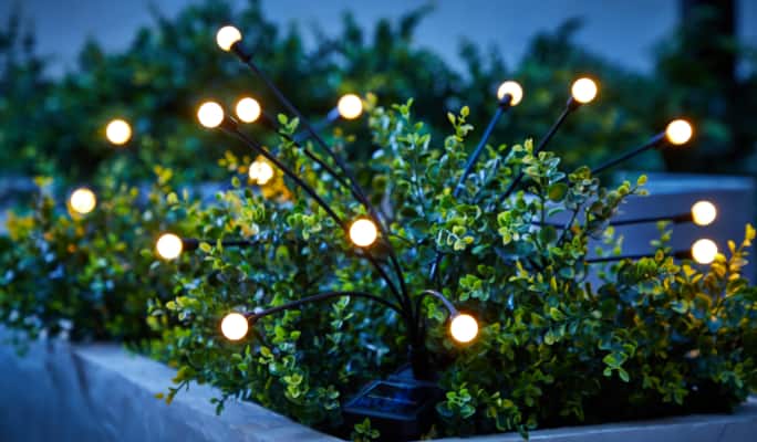  Glowing For Living Firefly Garden Stake Lights in a planter box. 