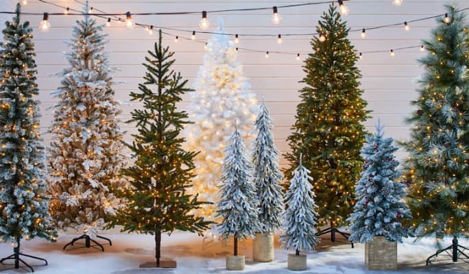 Comment choisir un arbre de Noël