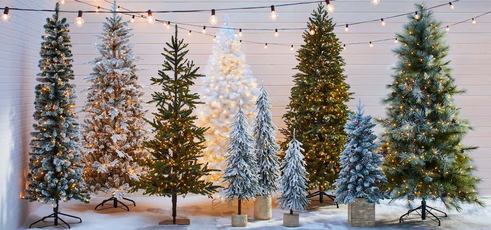 Lit string lights hung above a display of assorted Christmas trees.  
