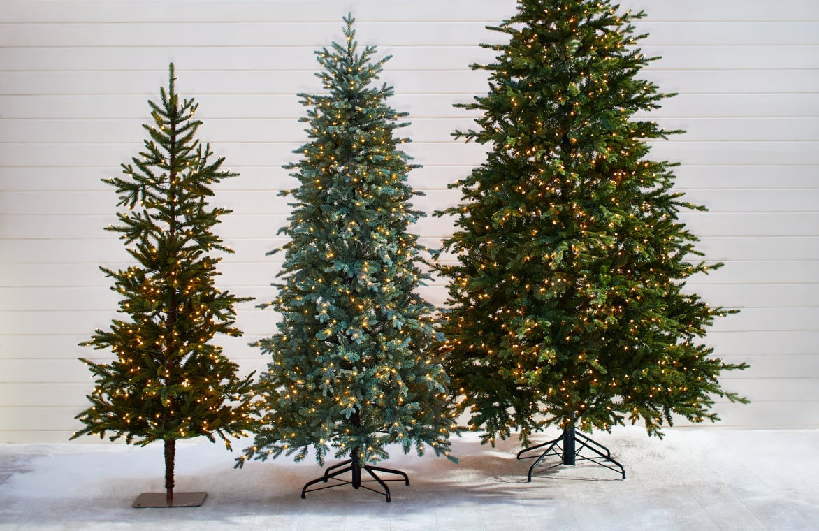 Three lit Christmas trees arranged by size from smallest to largest. 