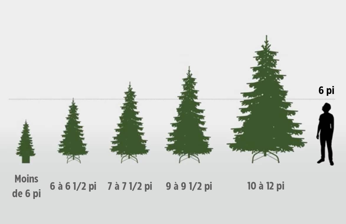 Une image de 5 sapins de Noël de tailles différentes allant de 6 à 12 pieds, ainsi qu’une image d’un humain pour indiquer l’échelle. 