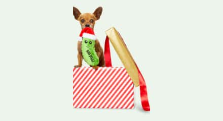 Jouets pour chiens