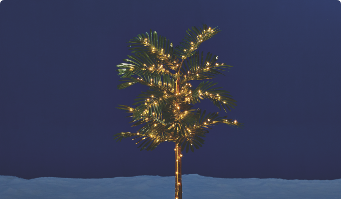 CANVAS LED Palm Tree, 5'9