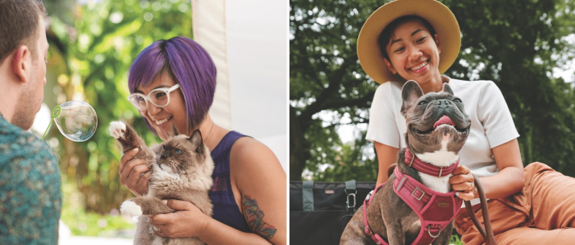 Two adults blowing bubbles and playing with their cat.   A woman sitting outdoors petting her dog that is wearing a harness and a leash. 