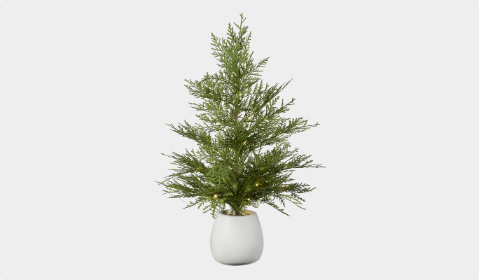 CANVAS Pre-Lit Tabletop Potted Cedar Tree