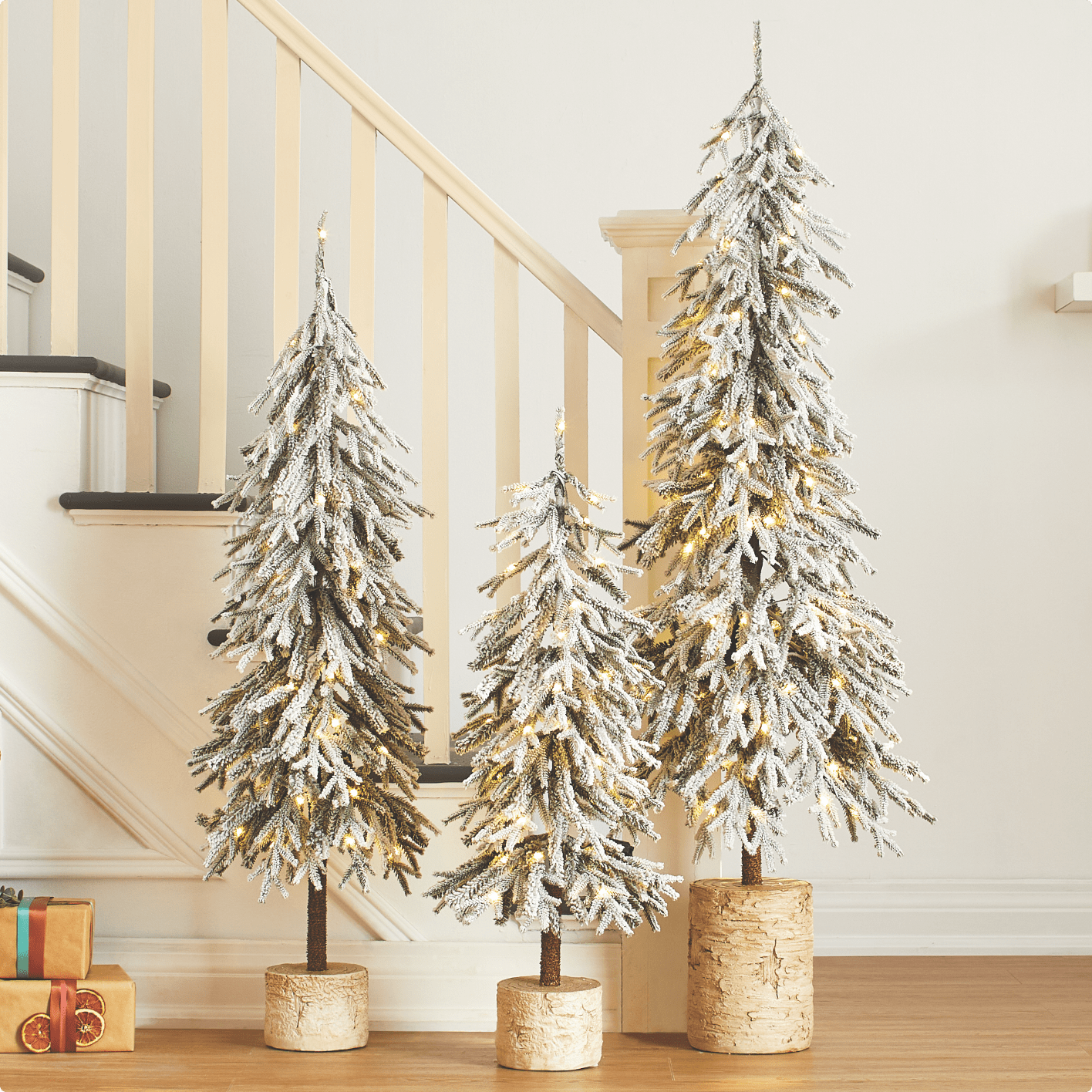 3 arbres en pot floqués pré-éclairés CANVAS devant un escalier.