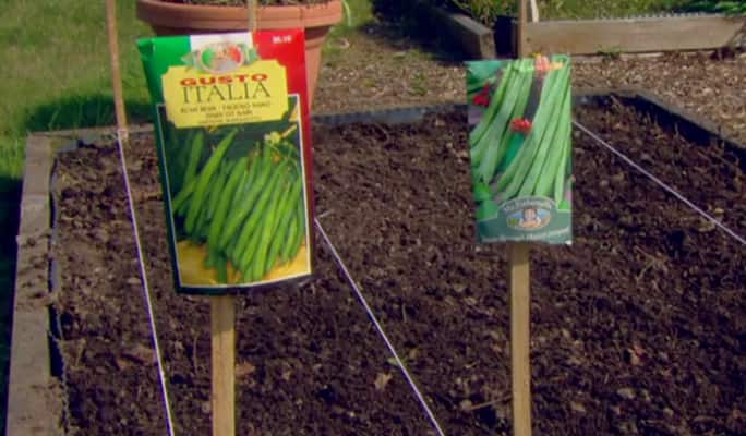 How to seed your garden