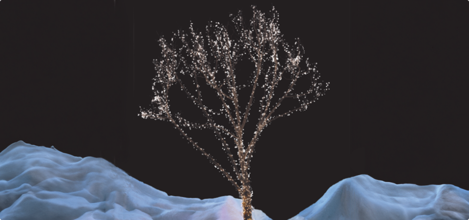How to wrap a tree like a pro 1280x522-FWT