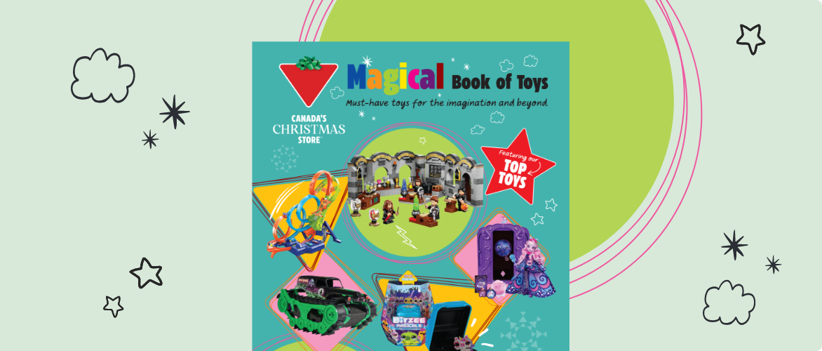 The Magical Book of Toys