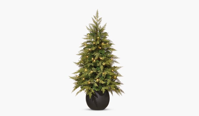 CANVAS Pre-Lit Cypress Potted Tree