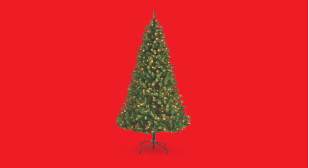 Outdoor Living & Christmas