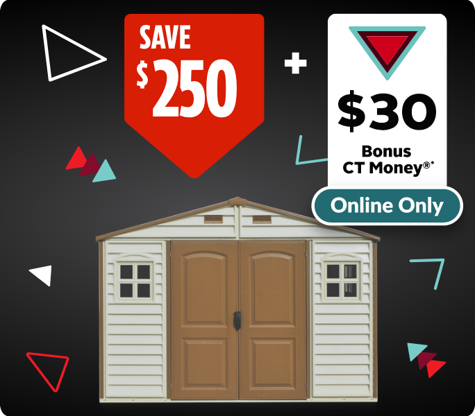 SAVE $250 + GET $30 BONUS CT MONEY® Online only