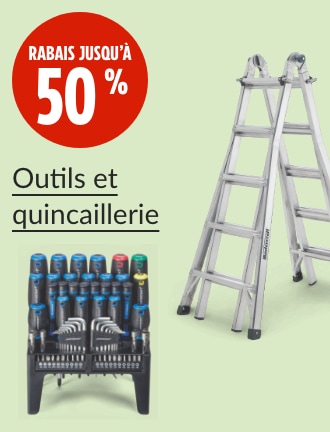 Économisez jusqu'à 50 %  Échelle multi-usage Mastercraft en aluminium, 250 lb, 21 pi  Tournevis avec support Mastercraft, paq. 69
