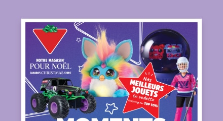 Magasinez maintenant le livre magique des jouets.
