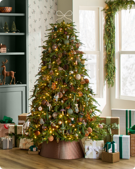 Shop Christmas Gifting.