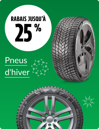 Économisez jusqu’à 25&nbsp;% sur les pneus d'hiver.