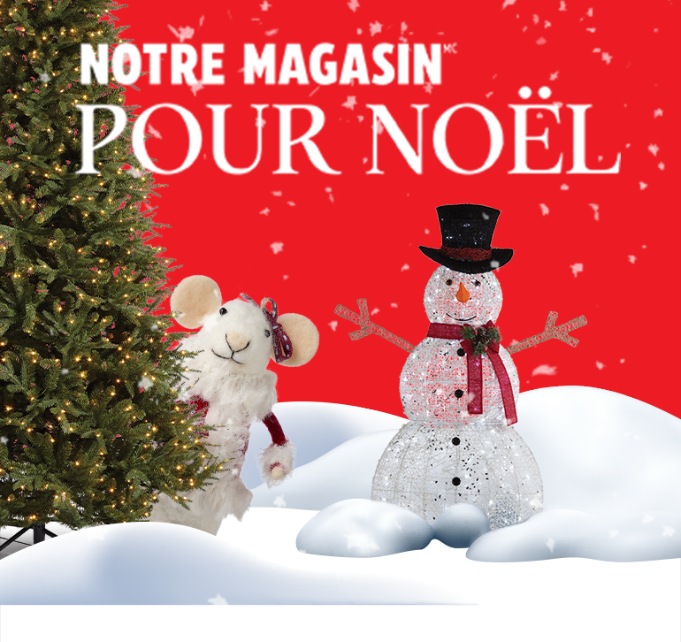 Notre magasin pour Noël