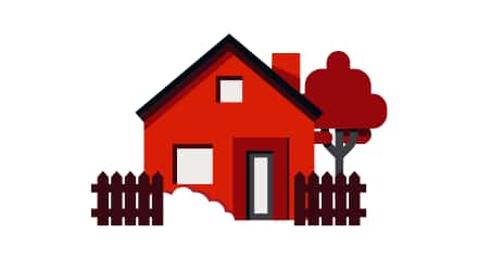 Kitchen, Home & Pets
