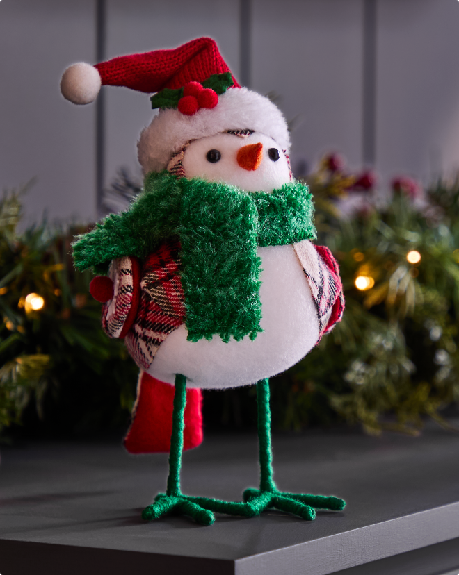CANVAS Red Plaid Bird with Green Scarf and Santa Hat