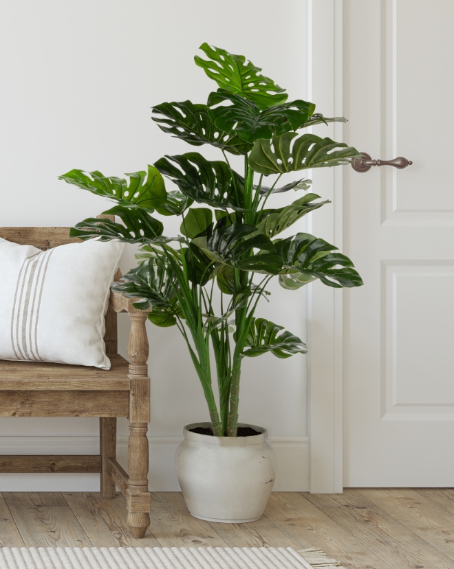 A wooden chair and potted plant next to a door.