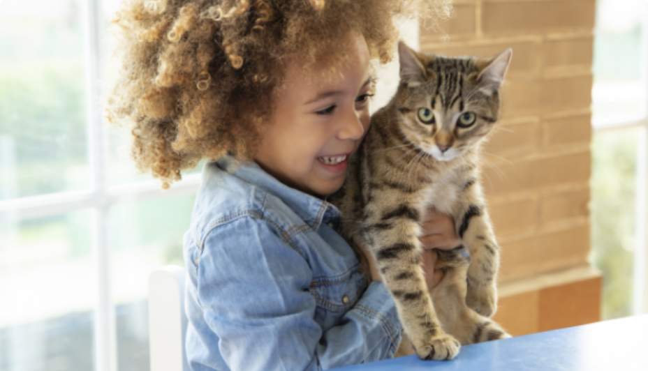 New Cat Checklist 