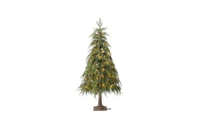 CANVAS Ashford Cedar Potted Tree, 4-ft