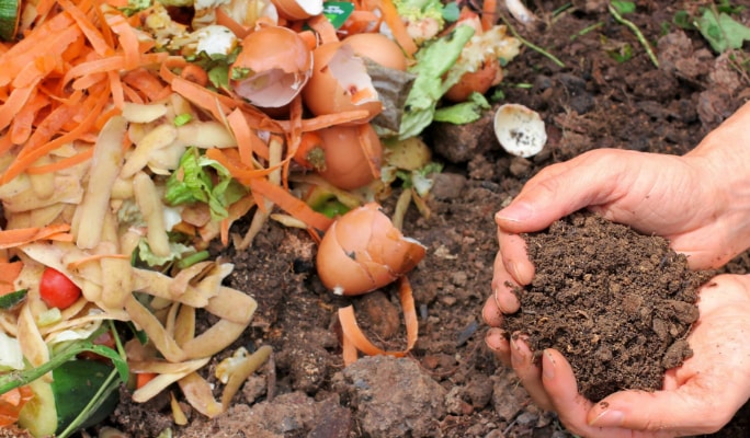 Hands holding compost next to a pile of organic kitchen scraps on garden soil.