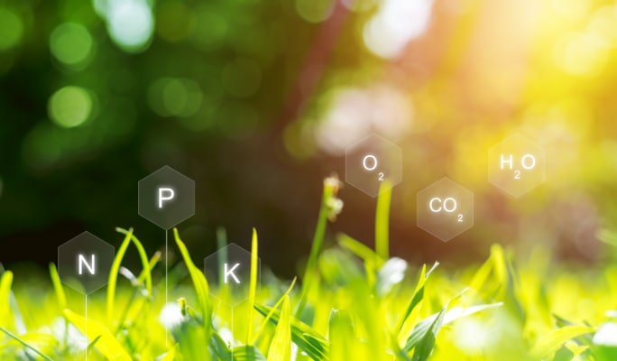 Close-up of healthy grass with nutrient symbols (N, P, K, O2, CO2, H2O) overlaid.