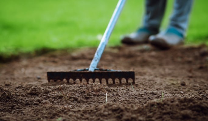 Person using a rake to prepare soil for new sod.