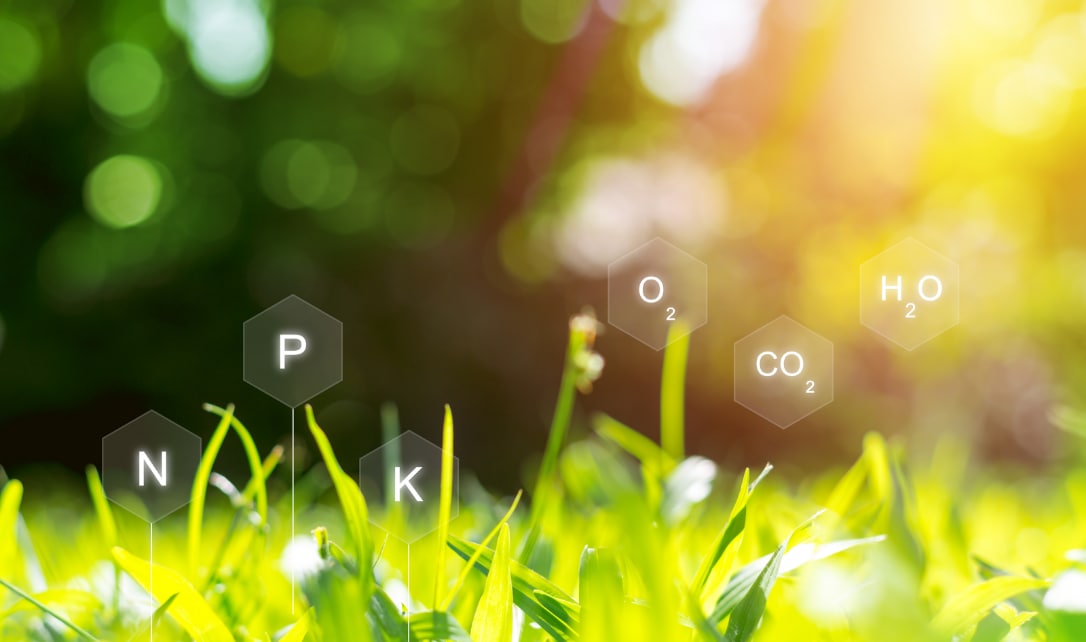 Gros plan de gazon avec les symboles nutritionnels N, P, K, O2, CO2 et H2O superposés.