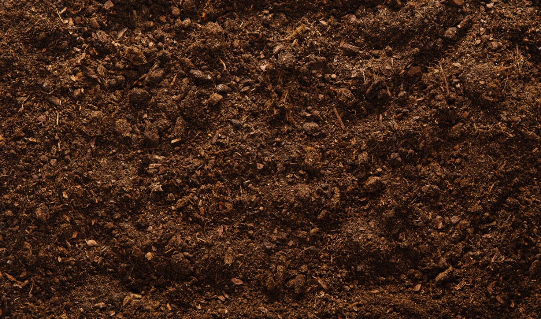  Une vue rapprochée d’un sol sombre et riche.