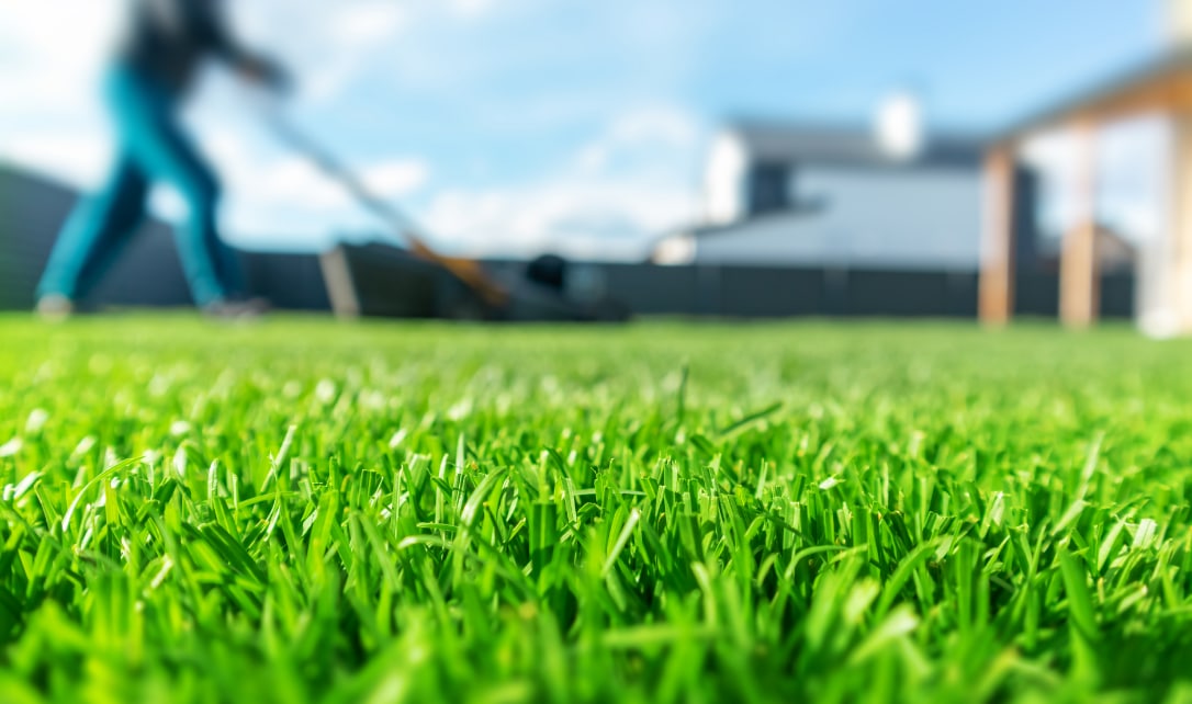 Close-up of green grass with a person mowing the lawn in the background.