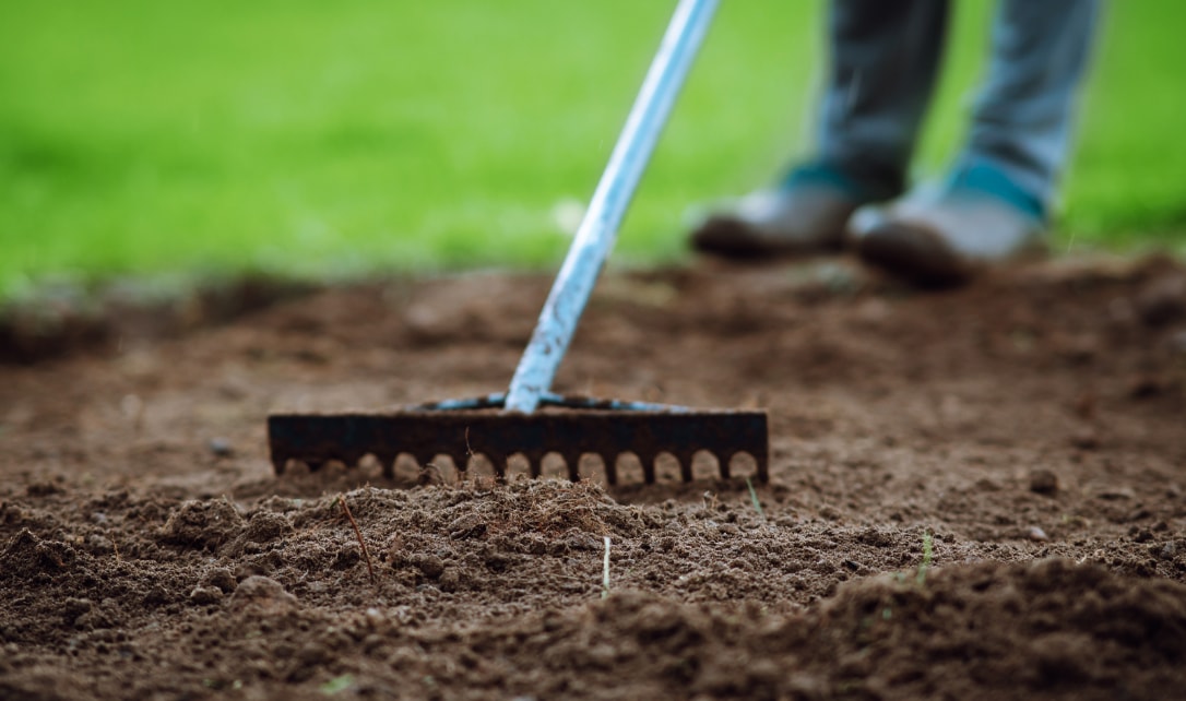 Person using a rake to prepare soil in a garden.