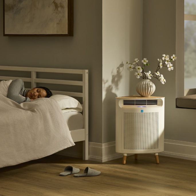 Breathe easier in your home with air purifiers that clear the air of pollutants and dust.